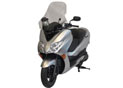 Parebrise Honda Forza 250 08-